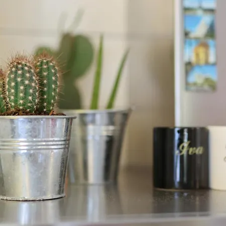 Sea Relaxing ביבינייה