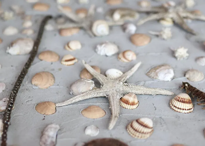 Sea Relaxing Bibinje