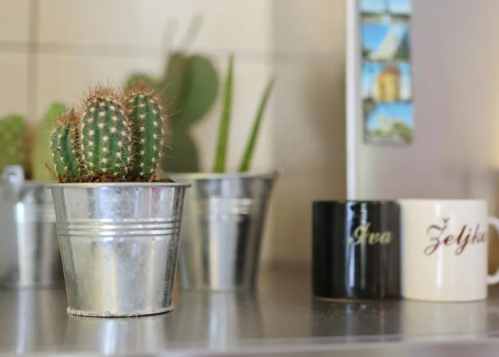 Sea Relaxing Bibinje